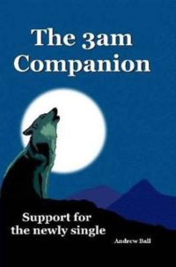 The 3am Companion - Support for the Newly Single