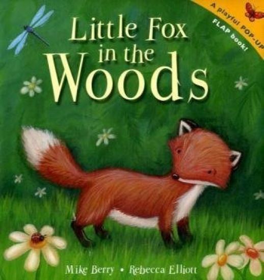 Little Fox in the Woods