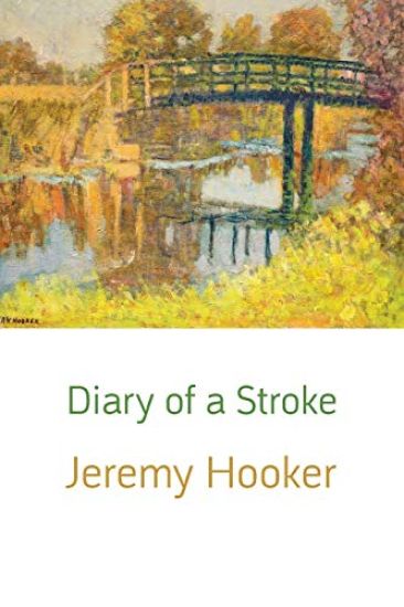 Diary of a Stroke