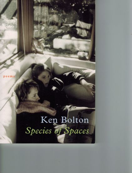 Species of Spaces