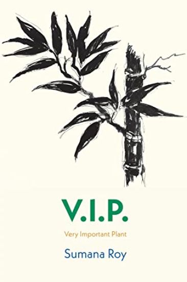 V.I.P.