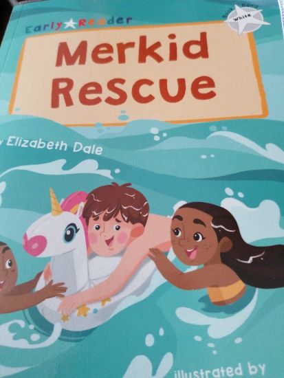 Merkid Rescue