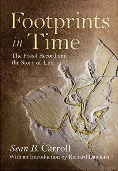 Footprints in Time