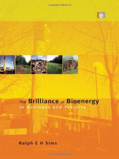 The Brilliance of Bioenergy