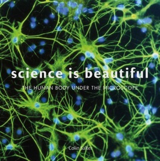 Science is Beautiful: The Human Body