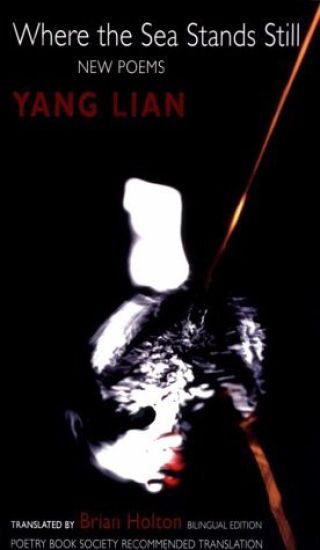 Where the Sea Stands Still