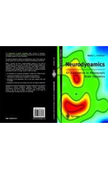 Neurodynamics: An Exploration in Mesoscopic Brain Dynamics