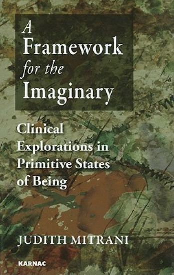 A Framework for the Imaginary