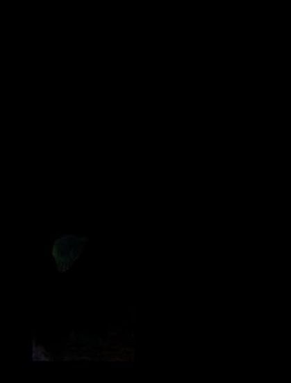 Seurat: Bathers at Asnieres (One Painting, One Story)