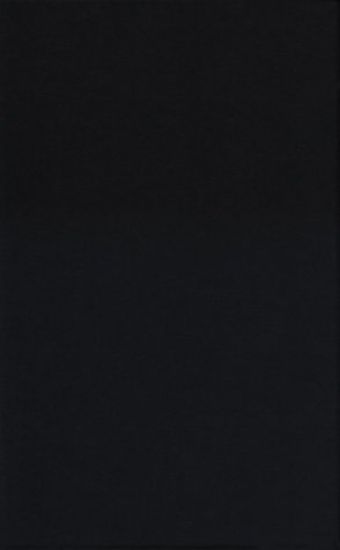 Essays on Game Theory