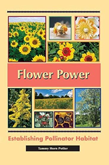Flower Power: Establishing Pollinator Habitat