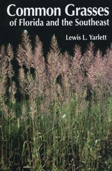 Common Grasses of Florida & The Southeast