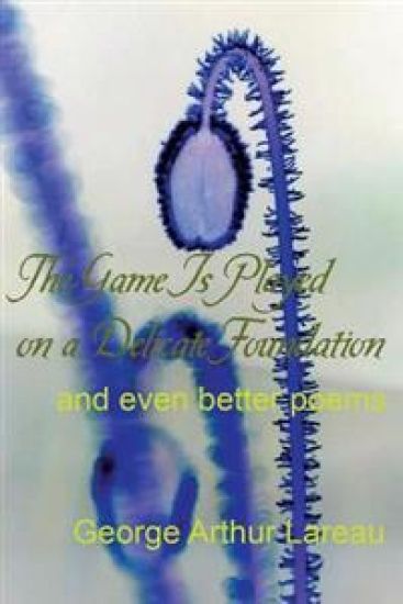 The Game Is Played on a Delicate Foundation: and even better poems