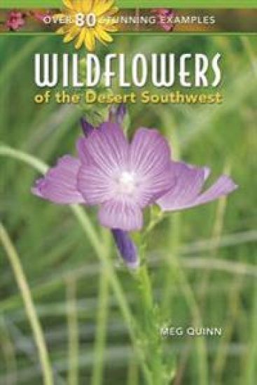 Wildflowers of the Desert Southwest