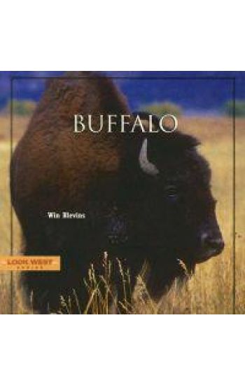 Buffalo