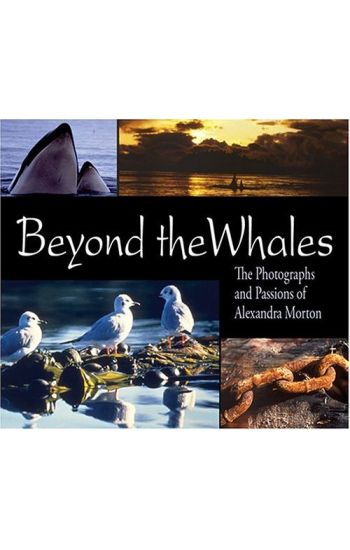 Beyond the Whales