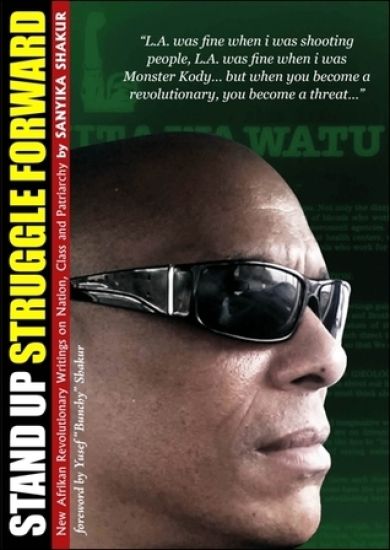 Stand Up, Struggle Forward