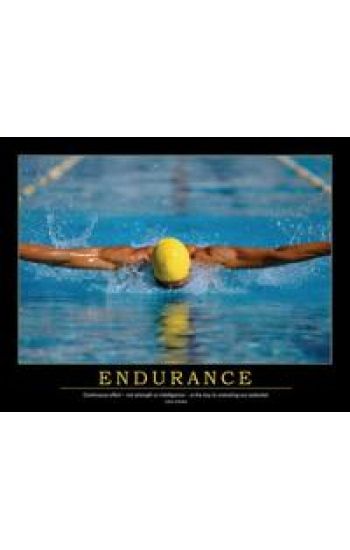 Endurance Poster