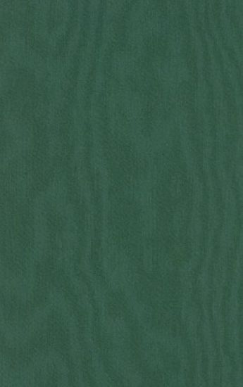 The Established and the Outsiders