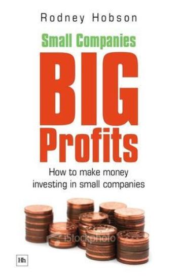 Small Companies, Big Profits