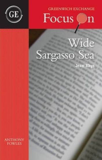 Wide Sargasso Sea by Jean Rhys