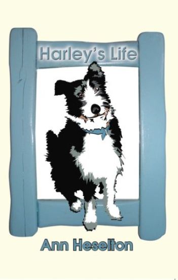 Harley's Life