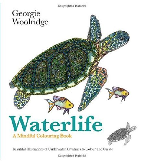 Waterlife: A Mindful Colouring Book