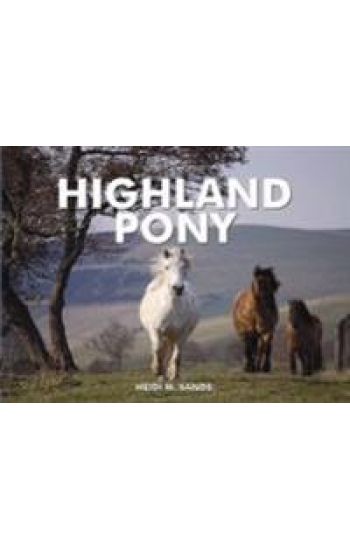 Spirit of the Highland Pony