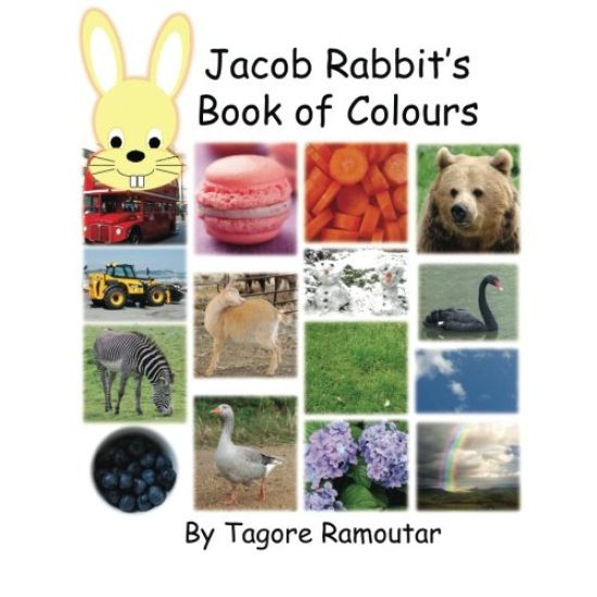 Jacob Rabbit's Book of Colour