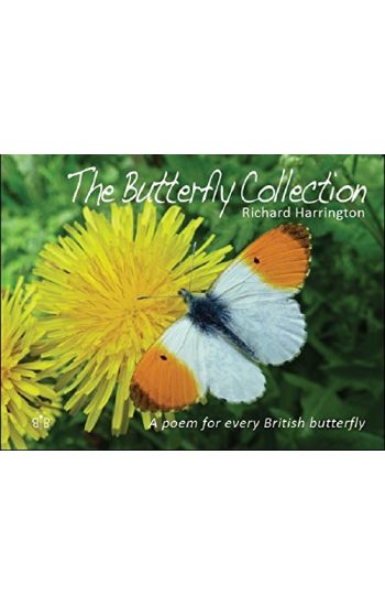 Butterfly Collection