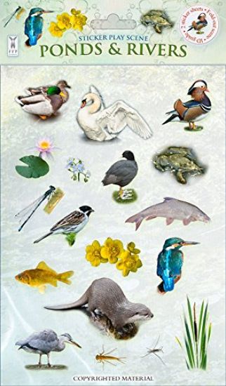 Ponds & Rivers