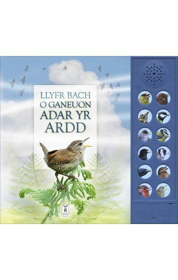 LLYFR BACH O GANEUON ADAR YR ARDD