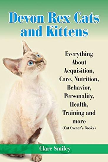 Nutriti Devon Rex Cats and Kittens Everything About Acquisition, Care
