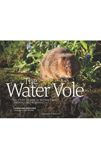 Water Vole