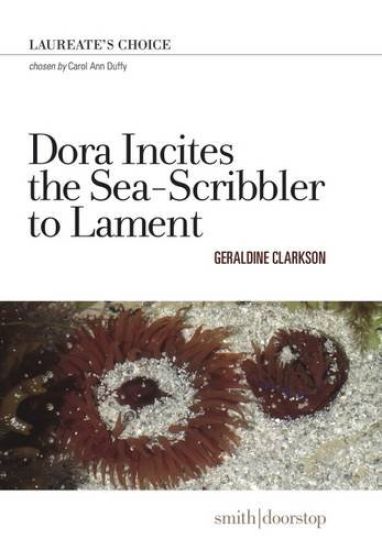 Dora Incites Sea-Scribbler Lament