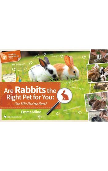 Are Rabbits the Right Pet for You