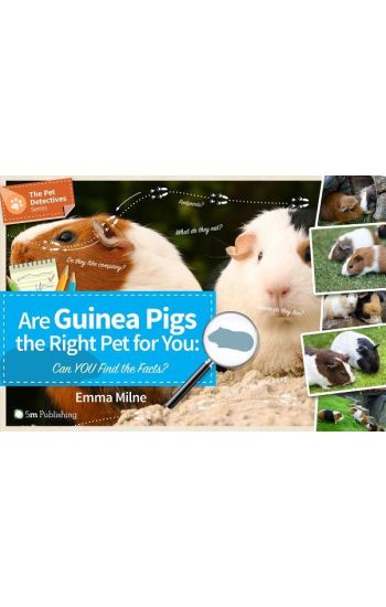 Are Guinea Pigs the Right Pet for You