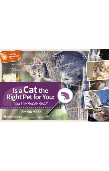 Is a Cat the Right Pet for You