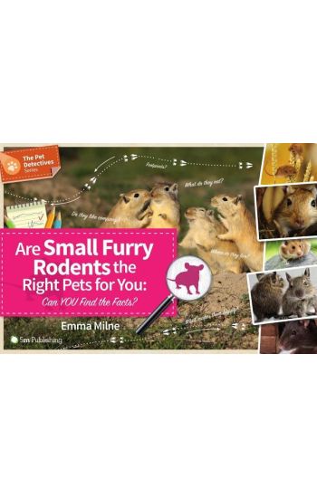 Are Small Furry Rodents the Right Pets for You