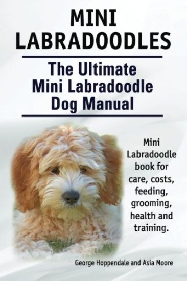 Mini Labradoodles. The Ultimate Mini Labradoodle Dog Manual. Miniature Labradoodle book for care, costs, feeding, grooming, health and training.