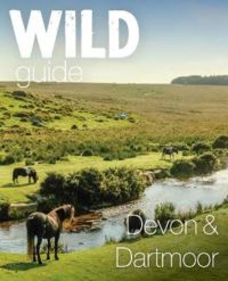 Wild Guide DevonDartmoor