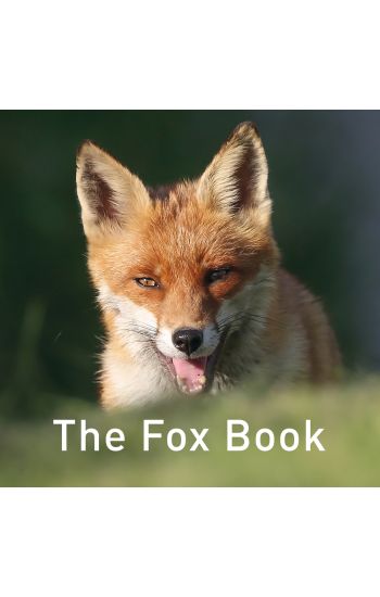 Nature Book Series: The Fox Book