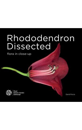 Rhododendron Dissected