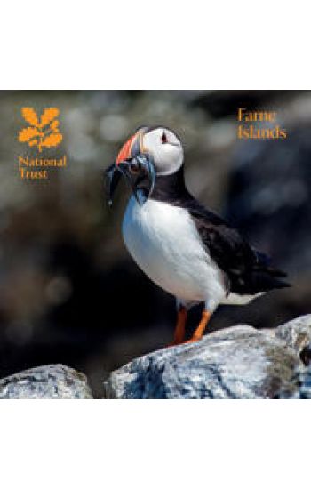 Farne Islands