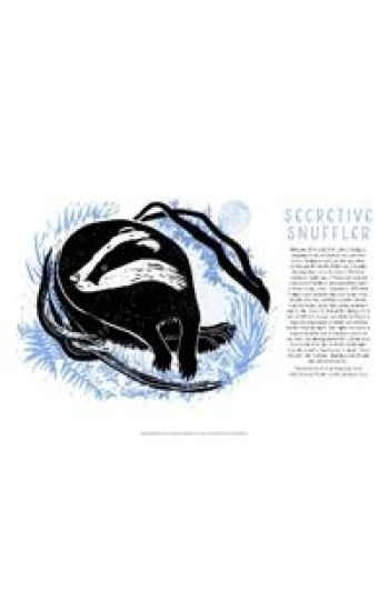 Tom Cox's 21st Century Yokel Poster: Secretive Snuffler
