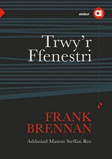 Cyfres Amdani: Trwy'r Ffenestri