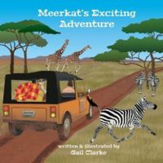 Meerkat's Exciting Adventure