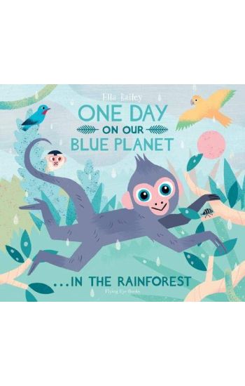 One Day On Our Blue Planet ...In the Rainforest
