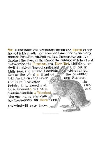 Jackie Morris Poster: Names of the Hare, The