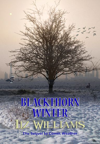 Blackthorn Winter